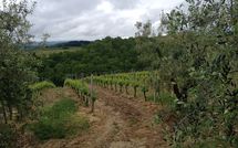 Fotos enviadas por los huéspedes de Massi