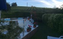 Fotos enviadas por los huéspedes de Il Fienile