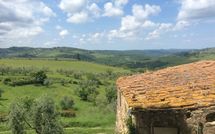 Fotos enviadas por los huéspedes de La Chiantigiana