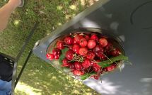 Fotos enviadas por los huéspedes de Cegliolo