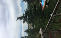 Fotos enviadas por los huéspedes de Maesta dei Mori