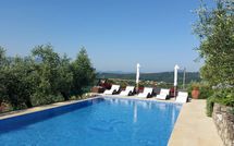 Fotos enviadas por los huéspedes de La Palma