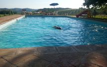 Fotos enviadas por los huéspedes de Vittoriana