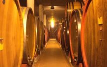 Fotos enviadas por los huéspedes de Villa Gaville