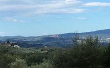 Fotos enviadas por los huéspedes de Villa Orchidea