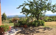 Fotos enviadas por los huéspedes de Villa Il Sorbo