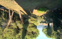 Fotos enviadas por los huéspedes de Spuntone