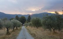 Fotos enviadas por los huéspedes de Il Castagneto