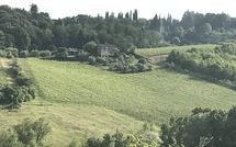 Fotos enviadas por los huéspedes de Righi