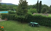 Fotos enviadas por los huéspedes de Pozzonovo