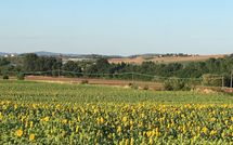 Fotos enviadas por los huéspedes de Villa San Fabiano