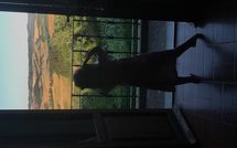 Fotos enviadas por los huéspedes de Villa di Montelopio