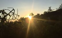 Fotos enviadas por los huéspedes de Vinci 820