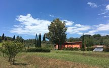 Fotos enviadas por los huéspedes de Al Valentino