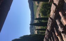 Fotos enviadas por los huéspedes de Tenuta Il Tresto