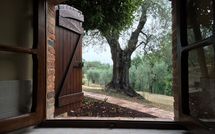 Fotos enviadas por los huéspedes de Il Meleto