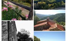 Fotos enviadas por los huéspedes de Tribbiano