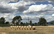 Fotos enviadas por los huéspedes de Case Sant'Anna