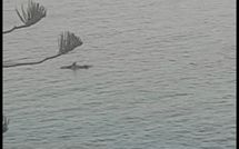 Fotos enviadas por los huéspedes de Il Sorriso