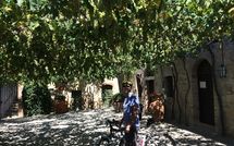 Fotos enviadas por los huéspedes de Villa Piazza della Fortezza