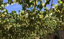 Fotos enviadas por los huéspedes de Villa Piazza della Fortezza