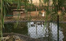 Fotos enviadas por los huéspedes de Pagliazzone