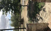 Fotos enviadas por los huéspedes de Pieve di Sant Ippolito