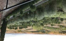 Fotos enviadas por los huéspedes de Loggia del Poggiolo