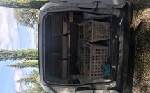 Fotos enviadas por los huéspedes de Villa Il Prato