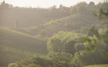 Fotos enviadas por los huéspedes de Agriturismo Paterno