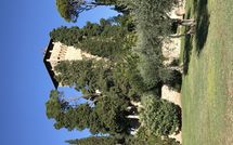 Fotos enviadas por los huéspedes de Rocca di Cetona