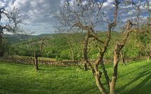 Fotos enviadas por los huéspedes de Casalta di Pesa