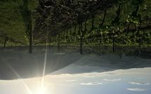 Fotos enviadas por los huéspedes de Casalta di Pesa