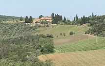 Fotos enviadas por los huéspedes de Fattoria di Quercia al Poggio