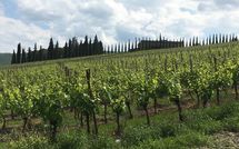 Fotos enviadas por los huéspedes de Casalta di Pesa