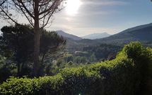 Fotos enviadas por los huéspedes de La Palma