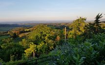 Fotos enviadas por los huéspedes de Giovanna Vacanze