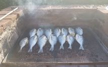 Fotos enviadas por los huéspedes de Torre di Vignale