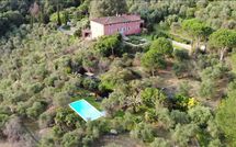 Fotos enviadas por los huéspedes de Villa Igea 13