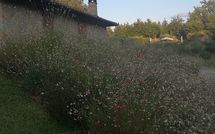 Fotos enviadas por los huéspedes de La Casetta nel Bosco