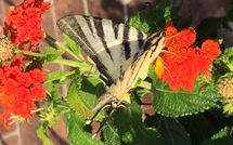 Fotos enviadas por los huéspedes de Casa Fiora