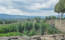 Fotos enviadas por los huéspedes de Villa Agazzi