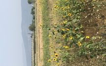 Fotos enviadas por los huéspedes de Case Sant'Anna