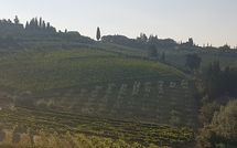 Fotos enviadas por los huéspedes de Casa Rossa