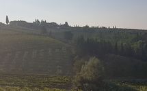 Fotos enviadas por los huéspedes de Casa Rossa