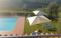 Fotos enviadas por los huéspedes de Casa Rossa