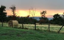 Fotos enviadas por los huéspedes de Podere Capraia