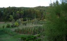 Fotos enviadas por los huéspedes de Rufina 200