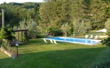 Fotos enviadas por los huéspedes de Rufina 200