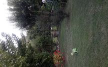 Fotos enviadas por los huéspedes de Casina del Sole